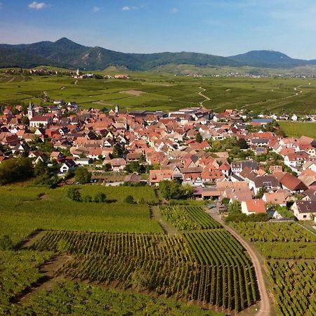Gîte du Vignoble Beblenheim Extérieur photo
