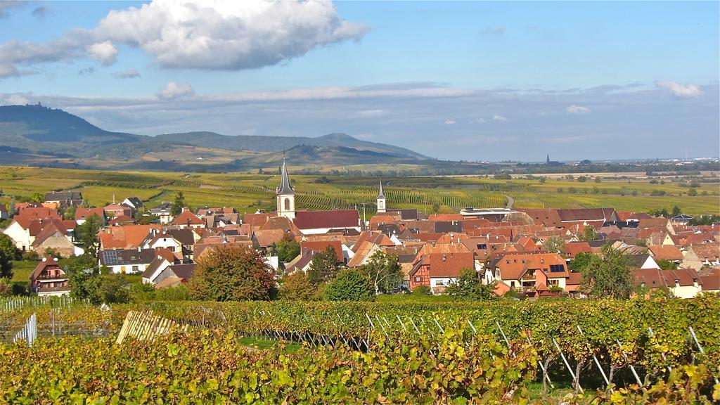 Gîte du Vignoble Beblenheim Chambre photo