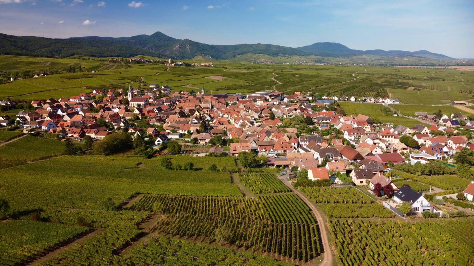 Gîte du Vignoble Beblenheim Extérieur photo